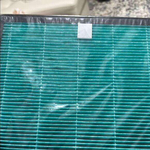 Coway Airmega Air Purifier Replacement Filter (one) - Picture 3 of 4